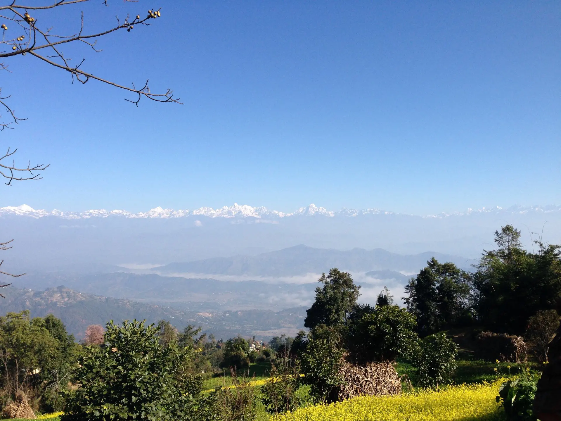 Landschaftsbild von Wiesen bis hin zu einer breiten Berglandschaft