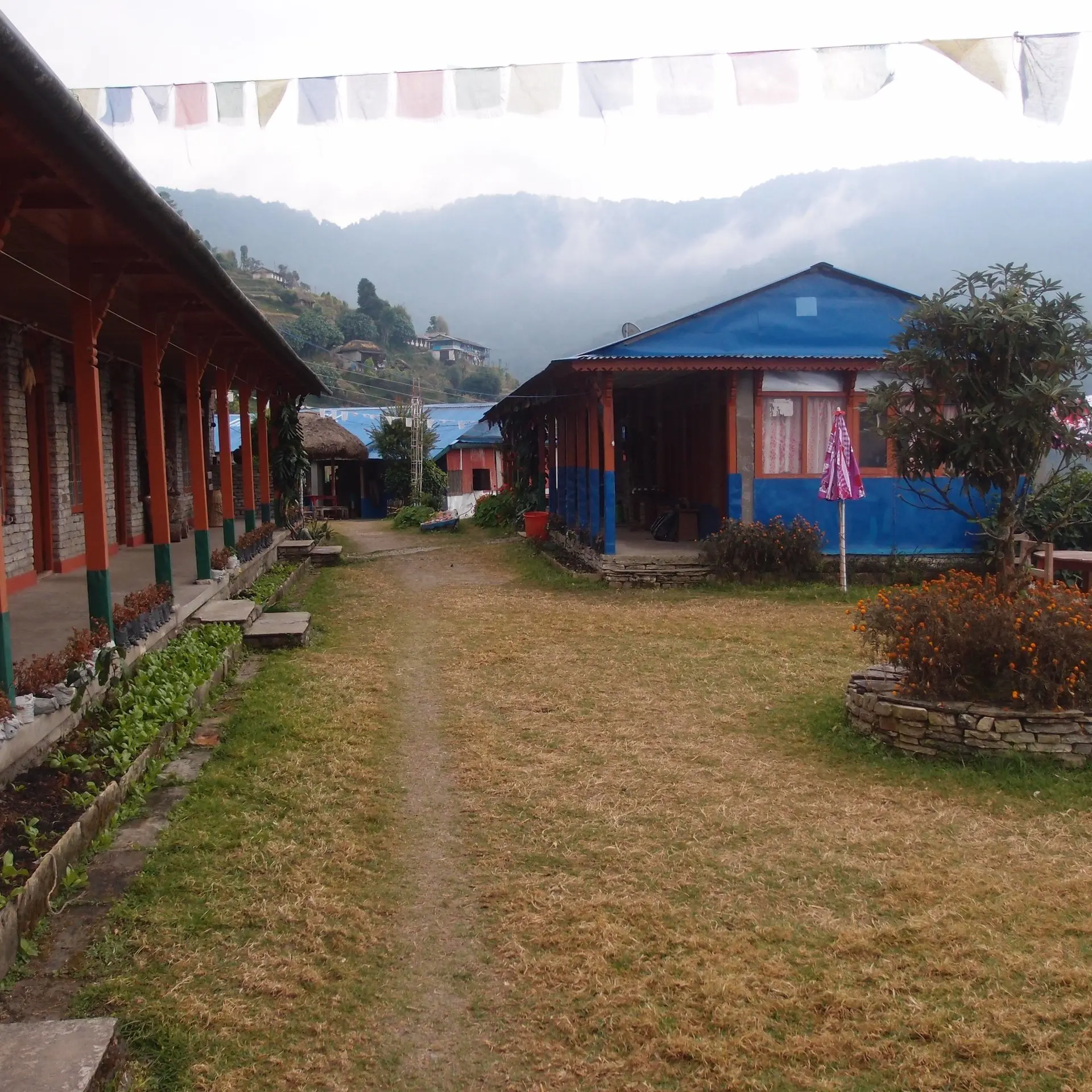 Gebäude mit bunten Fahnen