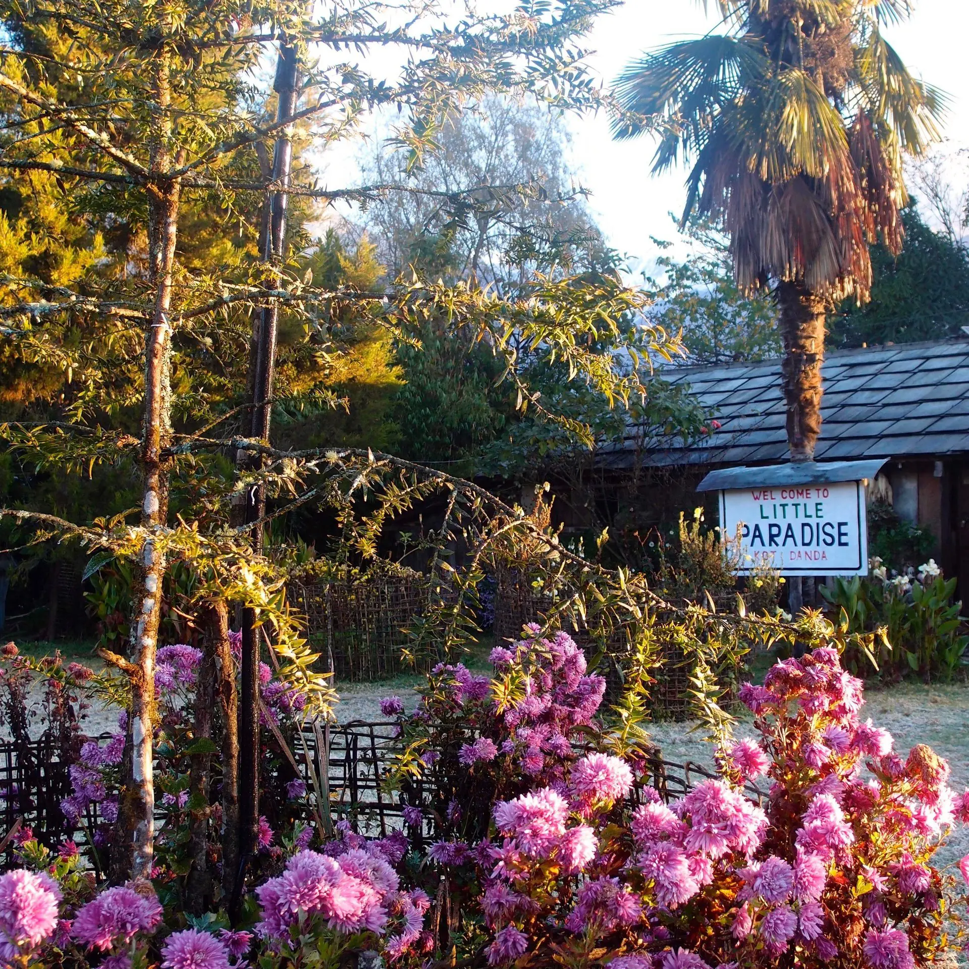 Haus mit blühendem Garten